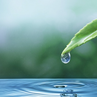 Вода играет важнейшую роль в средствах по уходу за волосами, растворяя ингредиенты, придавая текстуру и увлажняя волосы. Однако не всякая вода подх...