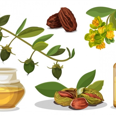 В этой статье мы расскажем о семи лучших маслах для сухих волос, их свойствах и способах применения. Узнайте, какое м...